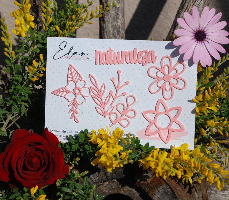 KIT NATURALEZA ROSA
